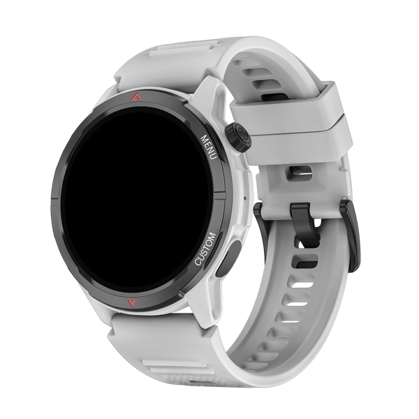 Smartwatch NOISE Endeavour 2 Silver Grey