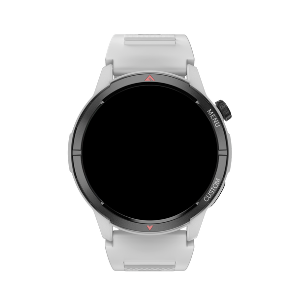 Smartwatch NOISE Endeavour 2 Silver Grey