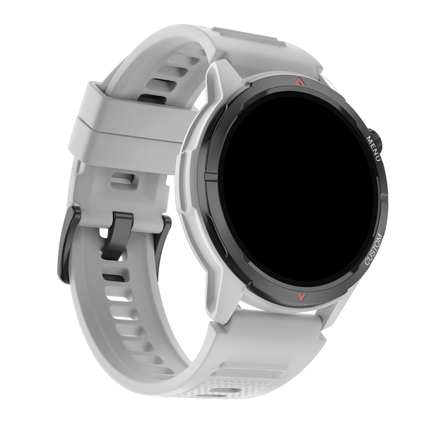 Smartwatch NOISE Endeavour 2 Silver Grey