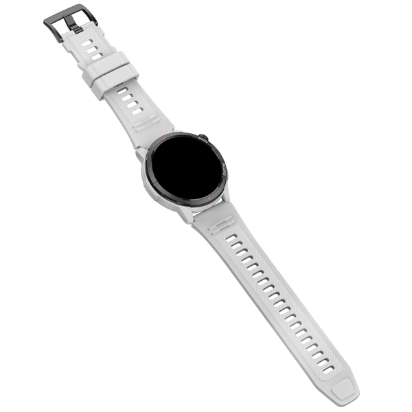 Smartwatch NOISE Endeavour 2 Silver Grey